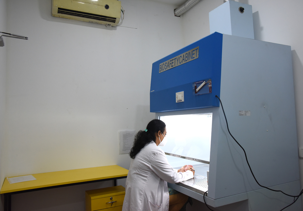 Central-Lab-6